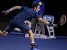 MM. Andy Murray ve tvrtfinle Australian Open. 