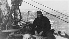 Fotografie Václava Vojtěcha z expedice admirála Richarda Evelyna Byrda na... Fotografie Václava Vojtěcha z expedice admirála Richarda Evelyna Byrda na...