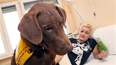 Lence Kotalové i dalším pacientům rehabilitačního oddělení Vítkovické nemocnice... Lence Kotalové i dalším pacientům rehabilitačního oddělení Vítkovické nemocnice...