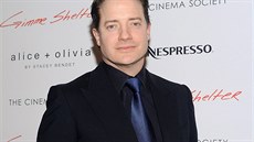 Brendan Fraser (22. ledna 2014)