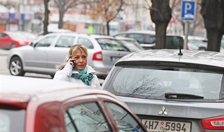 Autorm protestu jde o to, aby msto v lokalit zachovalo stejný poet píných i podélných parkovacích stání, jako byl doposud.