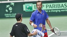 RUNÍK, PROSÍM. Radek tpánek v utkání Davis Cupu proti Nizozemsku. 