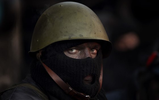 Protivládní demonstrant v Kyjev (31. ledna 2014)
