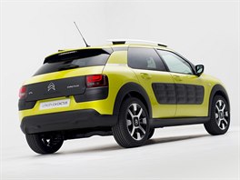 Citron C4 Cactus