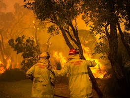 BOJ S ÁREM. Australtí hasii na pedmstí Perthu bojují s poárem. Ohe tu...