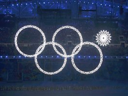 Slavnostní zahajovací ceremoniál zimních olympijských her v Soi. (7. února...