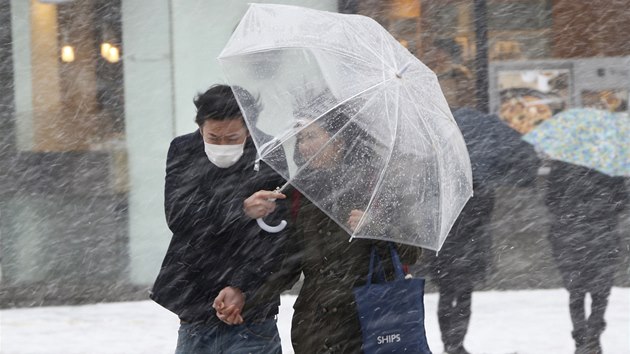 Japonci se potkaj se silnm snen i vtrem (Tokio, 8. nora 2014)