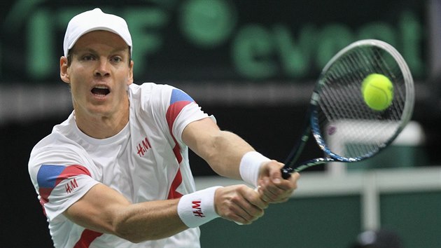 Tom Berdych v daviscupovm utkn proti Nizozemsku.