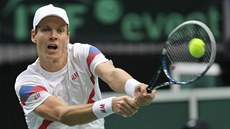 Tomá Berdych v daviscupovém utkání proti Nizozemsku.