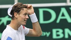 Tomá Berdych práv zajistil eským tenistm postup do tvrtfinále Davis Cupu.