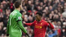 TANEEK. Daniel Sturridge z Liverpoolu oslavuje pekonání Wojciecha Szczesného,...