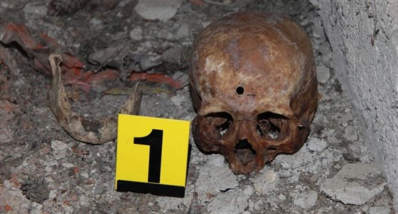 Mladý mu na Prostjovsku nael staré lidské kosti (snímek je z jiného nálezu v regionu z letoního února).