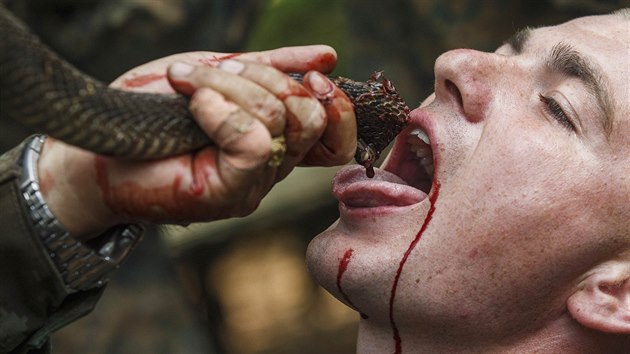 KOB KREV. Americk marik polyk krev kobry bhem drsnho ncviku peit v thajsk dungli.