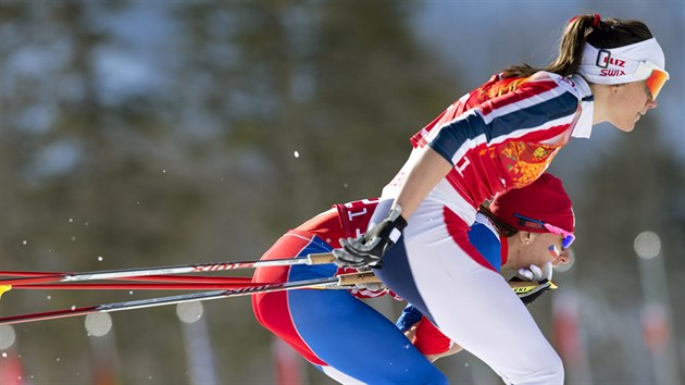 SOUBOJ. esk bkyn na lych Eva Vrabcov-Nvltov (vzadu) pi souboji s norskou zvodnic Heidi Wengovou v zvodu na 4x5 kilometr. (15. nora 2014)