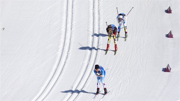 Bkyn na lych pi tafetovm zvodu na 4x5 kilometr. (15. nora 2014)