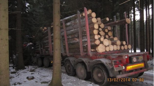 K nehod dolo ve tvrtek rno po sedm hodin v lese u delova na Jihlavsku.