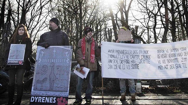 Protest proti porce irafho samce Mariuse ped kodaskou zoo