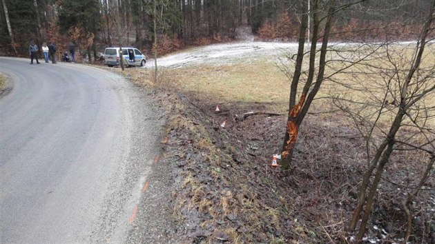 Mlad idi vezouc dal ti mladky jel v noci na nedli zejm pli rychle, vyjel mimo silnici a narazil do dvou strom. Pozdji piznal, e byl opil.