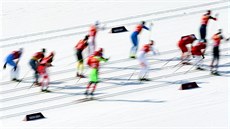 Bci na lyích ve tafetovém závodu na 4x10 kilometr. (16. února 2014)