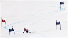 Lyaka, nebo houslová virtuoska? Vanessa Mae se na olympiád v Soi pedstavila jako reprezentantka Thajska v obím slalomu.