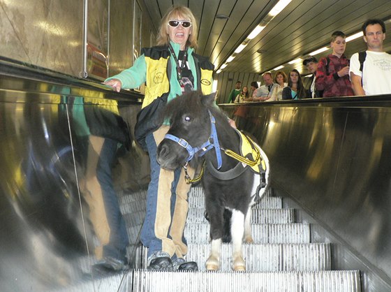 Katrijn na eskalátorech v metru