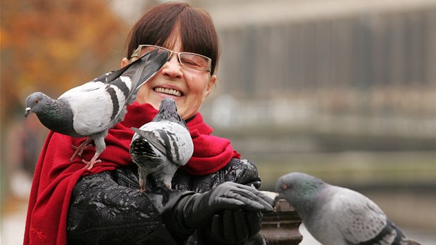 Turistka pi krmen holub na karlovarsk kolond.