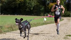 Takhle si vychutnává trať mistr světa Antony Le Moigne a jeho Phoenix. Takhle si vychutnává trať mistr světa Antony Le Moigne a jeho Phoenix.