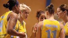 Basketbalistky USK Praha se domlouvají na akci. Zleva Kia Vaughnová, Jelena... Basketbalistky USK Praha se domlouvají na akci. Zleva Kia Vaughnová, Jelena...