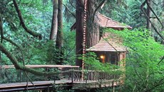 TreeHouse Point nabízí ubytování v nkolika rzných hotelových domcích.