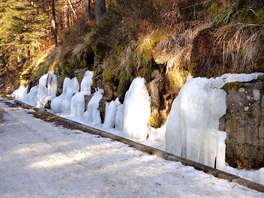 V erném dole v Orlických horách noní mráz vytvoil ledové "sochy".