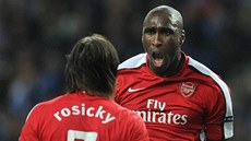 Tomáš Rosický a Sol Campbell z Arsenalu se radují z gólu. Tomáš Rosický a Sol Campbell z Arsenalu se radují z gólu.