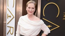 Hereka Meryl Streepová v erno-bílé hedvábné kreaci od Albera Elbaze z módního...