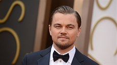 Leonardo DiCaprio (2. března 2014). Leonardo DiCaprio (2. března 2014).