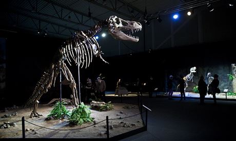 Výstava dinosaurium dorazila ze védska a do Prahy.