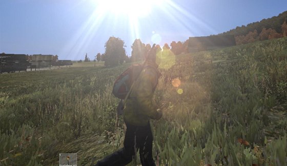 DayZ