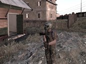 DayZ