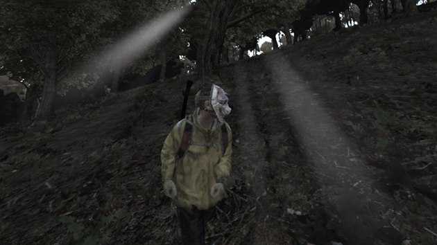 DayZ