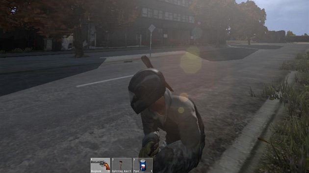 DayZ