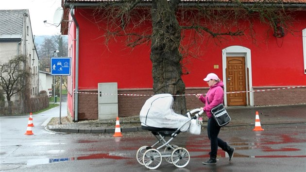 Letit morue rostouc ve Vikovicch na umpersku, jej st je odhadovno na 120 let, se dokala odborn pe. Ohrouji ji hniloba.