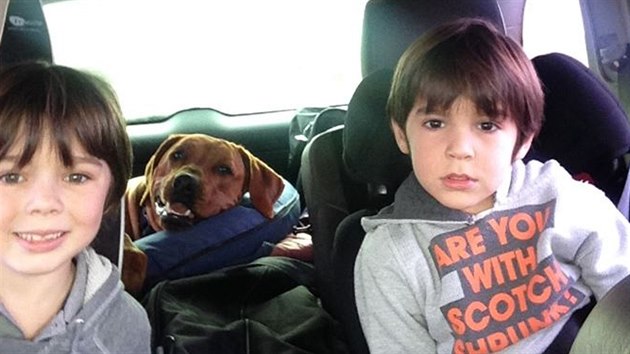 Synov Aleny eredov Louis a David a jejich pes Sprint (4. bezna 2014)