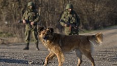 Rutí vojáci na Krymu (12. bezna 2014)