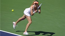 Agnieszka Radwaská ve finále turnaje v Indian Wells. 