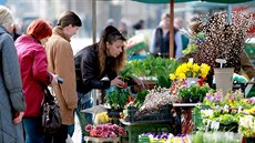 Zelinái a dalí trhovci tento týden v Brn poprvé prodávají na novém míst....
