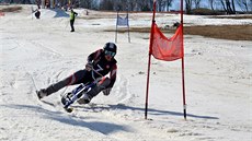 Alena Housová ve finále Světového poháru skibobistů v Jablonci nad Jizerou. Alena Housová ve finále Světového poháru skibobistů v Jablonci nad Jizerou.