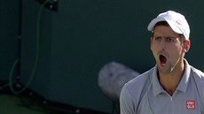 Novak Djokovi bhem semifinále na turnaji v Indian Wells.