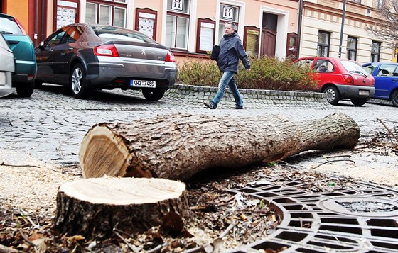 Kácení strom ve Smilov ulici.