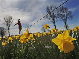 týden obrazem fotografie