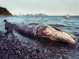 4 In this photo taken April 9, 1989 file photo, a local fisherman inspects a...