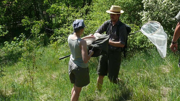 Entomologick przkum na Velk Homolce