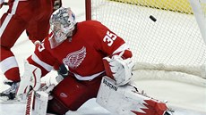 Branká Jimmy Howard z Detroitu u tuhle stelu nechytí. 